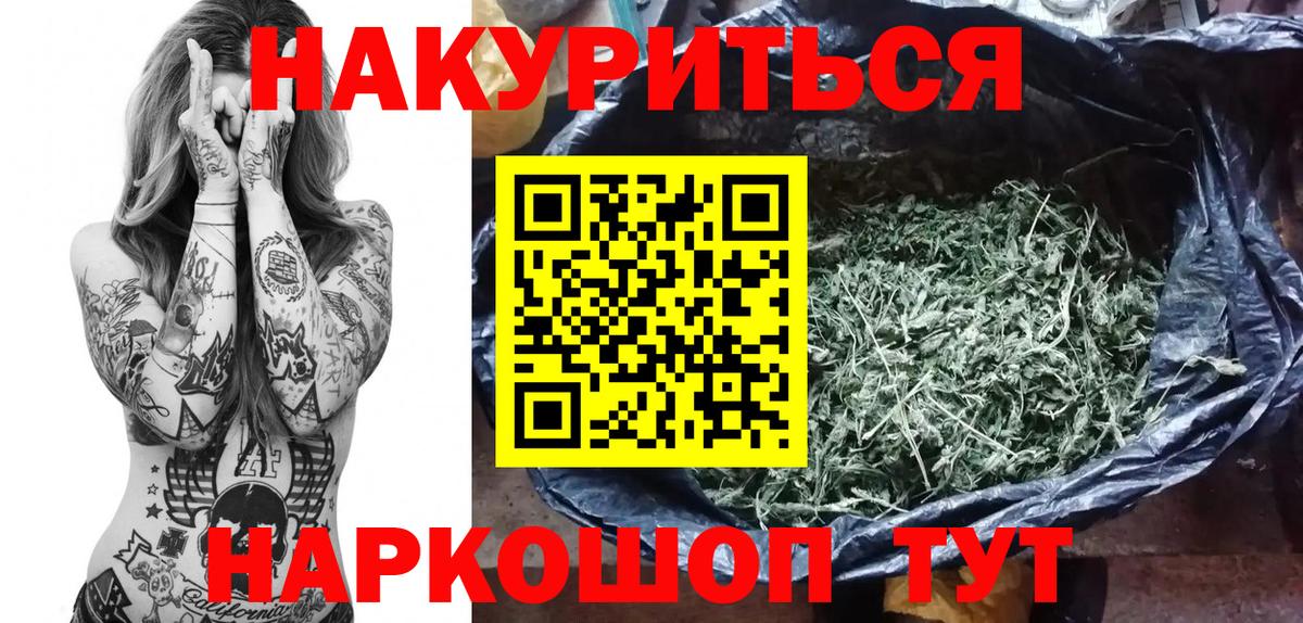 Конопля план  Вход с VPN  Конопля THC 21%  Конопля сатива  Кировск 